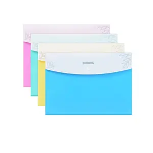 Double layer Plastic Envelopes Poly Envelopes file bag Document Folders File Folders