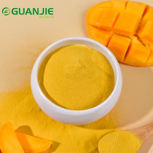 Hoogwaardig mangopoeder, voedingskwaliteit, voor dranken & bakproducten, zonder toevoegingen - Product Image 1
