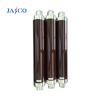 Fusible haute tension JASCO JSDR XRNT-Type 12-36kV HRC haute performance 160A III, testé par pulvérisation de sel pour usage électrique industriel
