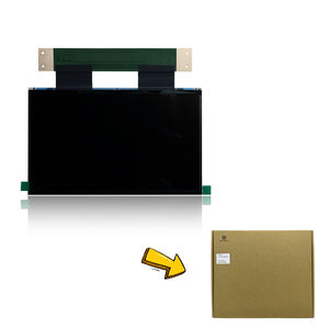 Panneau LCD Antinsky (10 pouces/Monochrome) pour Sonic Mighty 8K - Product Image 4