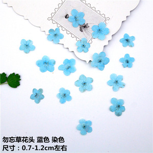 Y-E011 de resina Floral, flor no prensada, flores secas prensadas para joyería, decoración artística de uñas de resina - Product Image 5