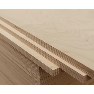 Linyi Cheap Plywood Sheet 4x8 12mm 16mm 18mm 4mm 5mm 6mm 3mm Birch Plywood In Construction