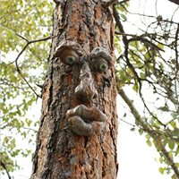Alte Mann Baum Hugger Baum Gesicht Decor Statuen