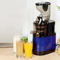 200W Elektrische Fruitpers 300ml 6 Bladen RVS Koudpers Sapcentrifuge Slow Juicer voor Camper Buitenreizen
