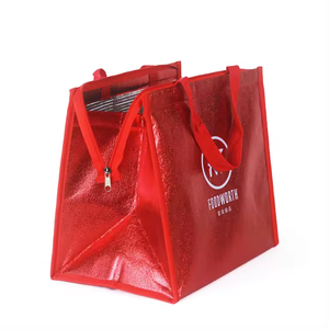 Fashionable Portable Insulated Tote Cooler <b>Bag</b> <b>with</b> Solar Panel Luxury Letter-Printed Design for Lunch <b>Beach</b> Coolins Cans Use - Product Image 4