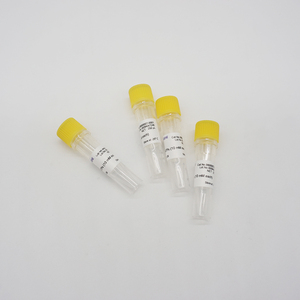 Material de Detección de Ácidos Nucleicos Foregene, Grado de Biología Molecular, Mezcla de <span class=keywords><strong>DNTP</strong></span> de Alta Pureza, 10 mM Cada Uno - Product Image 3