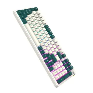 darkFlash DF98 Mechanical Keyboard Diy Keycaps Hot Swap Three- Mode Rgb Led Light 2.4G Wireless Gaming Keyboard