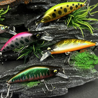 Mini leurre coulant en plastique ABS de 50 mm et 5,2 g, nageur réaliste pour la pêche à la carpe, au bar, au marlin en eau salée, en mer, en bateau et en rivière