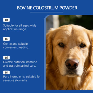 Poudre de colostrum bovin <span class=keywords><strong>pour</strong></span> chiens : riche en protéines, absorption rapide, soutien immunitaire, <span class=keywords><strong>vitamines</strong></span>, <span class=keywords><strong>minéraux</strong></span>, bienfaits <span class=keywords><strong>pour</strong></span> la santé des articulations, <span class=keywords><strong>pour</strong></span> tous. - Product Image 3
