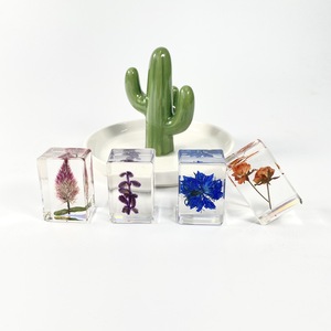 Tùy chỉnh ép hoa chặn giấy hoa trong nhựa mẫu bộ sưu tập Hoa thật mẫu vuông giấy trọng lượng Cube cho bàn - Product Image 4