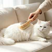 Brosse de toilettage pour animaux de compagnie en bois naturel, double face, fibres de sisal et brosse à picots métalliques pour chiens et chats, brosse démêlante pour animaux