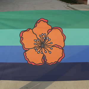 Nhà Máy Bán buôn 5ft * 3ft xách tay bay Cờ biểu ngữ Polyester Chất liệu giá cả cạnh tranh - Product Image 2