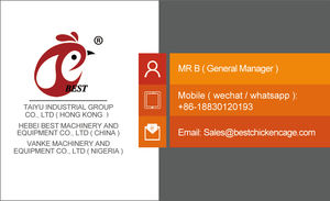 Gabbia per Polli Tipo A per 5000 Galline Ovaiole per Allevamento Avicolo - Product Image 6