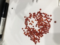 Perles disques rondes plates naturelles percées en Agate Rouge, Noire, Rose, Blanche, MOP, Malachite, perles intercalaires lâches pour la fabrication de boucles d'oreilles, colliers et bagues DIY