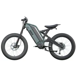 Full Suspension 500W/1000W Mid Drive Electric Bike With Dual Batteries