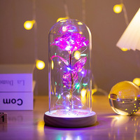 Belle rose arc-en-ciel de la galaxie, lumière LED, conservée dans un dôme en verre borosilicate transparent, base en bois, cadeau pour la fête des mères