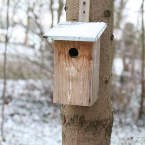 Esschert Design Nichoirs professionnels raisonnables Nid pour oiseaux Boîte à oiseaux Cage pour chaque oiseau - Product Image 4