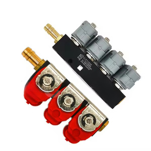 LPG/CNG 자동차 오일-가스 인젝터 레드 스프레이 레일 노즐 4기통 범용 가스 차량 부품 - Product Image 5