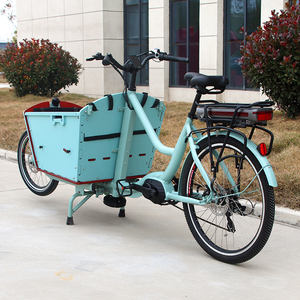 <span class=keywords><strong>Cargo</strong></span> Pick-up électrique Pliable Panier avant <span class=keywords><strong>Cargo</strong></span> E-bike Transport normal <span class=keywords><strong>Cargo</strong></span> électrique Ebike Baby Bike - Product Image 2