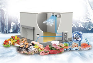 Cámara de Congelación Personalizada Copeland Emerson para Frutas Frescas: Fresas, Melocotones, Lichis, Mangos, Plátanos - Product Image 5