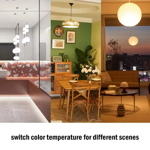 Hiện đại <span class=keywords><strong>LED</strong></span> 3-MÀU điều chỉnh Spotlight Bulb <span class=keywords><strong>GU10</strong></span> MR16 E27 <span class=keywords><strong>B22</strong></span> E14 CCT chức năng bộ nhớ nhiệt độ màu sắc phòng ngủ nội thất chiếu sáng - Product Image 4