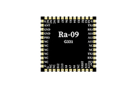 Module sans fil LoRa à spectre étalé Ra-09H prenant en charge le protocole LoRaWAN, puce STM32WLE5CCU6