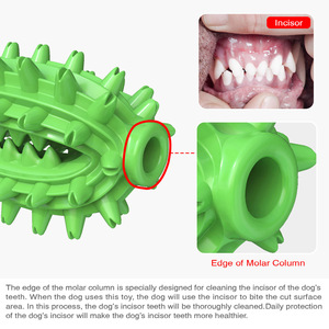 Green Spiky Rubber Chewing <b>Toy</b> for Dogs Teeth Cleaning <b>Interactive</b> Pet <b>Toy</b> Solid Design - Product Image 5