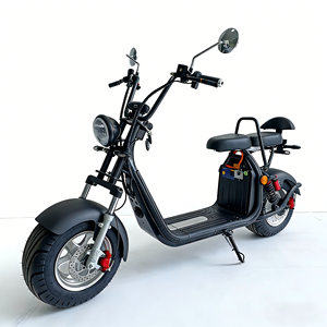 <span class=keywords><strong>Moto</strong></span> électrique EEC 2026, vélo électrique longue portée 2 places avec sacoches pour adultes, scooter électrique 45 km/h - Product Image 2