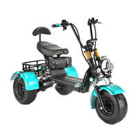 Scooter à trois roues S1 Tricycles électriques électriques ouverts à 3 roues avec de gros pneus Scooters Citycoco pour handicapés de vente chaude
