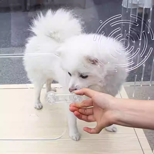 <span class=keywords><strong>Cage</strong></span> rectangulaire en acrylique transparent de 30 pouces pour chien, maison pour chat, maison lucite, assemblage facile, <span class=keywords><strong>cage</strong></span> pour chiot - Product Image 5