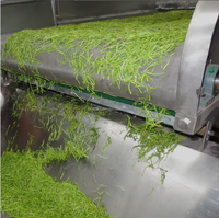 Industriële machine voor het drogen van groenten, specerijen, gedroogde chili, paprika, knoflook, gember en ui.