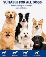 Comprimés à mâcher pour chiens et chats, mélange probiotique et prébiotique, texture lisse, absorption rapide, pour le bien-être immunitaire et digestif, riche en protéines