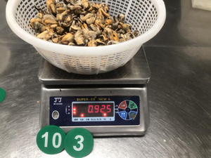 Carne congelada Mytilus edulis precio de fábrica carne de mejillón sin cáscara mejillón <span class=keywords><strong>cocido</strong></span> congelado - Product Image 6