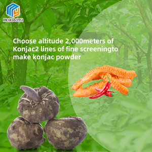 Bonne vente Perdre du poids Shirataki personnalisé sans gluten nourriture instantanée Konjac collations épicées - Product Image 4