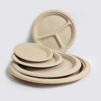 Assiette et bol jetables en fibre de bambou biodégradable pour barbecue, anniversaire, plateau à gâteau, assiette de dîner épaissie, assiette à décorer CW-CP