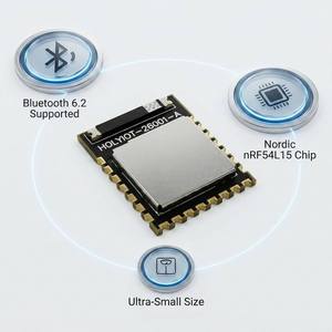 Módulo Bluetooth 6.2 Nordic NRF54L15 Holyiot-26001-A/B de Tamaño Ultrapequeño - Product Image 1