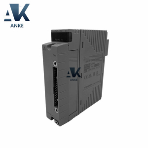 โมดูลเอาต์พุตแบบอะนาล็อก Yokogawa AAI543-H50 S1 - Product Image 1