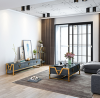 Luxe moderne Design nordique Rectangle miroir dessus en verre support TV Offre Spéciale tube en métal Table basse maison salon chambre utilisation