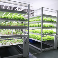 Usine de culture intérieure de plantes à feuilles vertes, durable, multicouche, facile à utiliser, avec service personnalisé, grande capacité, garantie 1 an, 400 kg