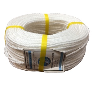 Độ Bền Kéo Cao Xoắn Màu Trắng PP <span class=keywords><strong>Polypropylene</strong></span> Danline <span class=keywords><strong>Rope</strong></span> Để Câu Cá - Product Image 1