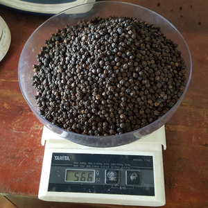 Poivre noir du Vietnam de qualité supérieure, nettoyé à la machine, haute densité, épice pour assaisonnement alimentaire, export en vrac - Product Image 1