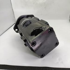 Nouvelle pompe à engrenages ZHENYUAN PGM PGP PGP330 7029122021 3249120258 324-9120-258 2 HP 150 Bar - Product Image 5