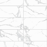 Carrelage en porcelaine effet marbre blanc ventre de poisson 300x600mm, facile à nettoyer, imperméable, pour sol, mur, salon, hôtel