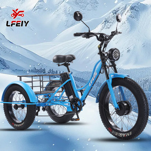 WOWI Triciclo Eléctrico Cheetah de 24 Pulgadas con Motor, Asistencia al Pedaleo, Neumáticos Gruesos, Carrocería Abierta, Carga Útil de 200-300 kg, <span class=keywords><strong>12V</strong></span> - Product Image 1