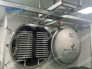 Hoge Kwaliteit Commerciële Pomp Uitgerust Vriesdroger Met Een Kamer Concurrerende Prijs In China - Product Image 6