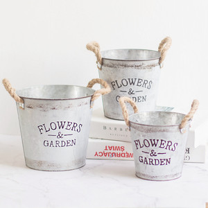 Commercio all'ingrosso creativo vasi da fiori Design piccolo metallo piante succulente vaso di fiori <span class=keywords><strong>in</strong></span> <span class=keywords><strong>ferro</strong></span> porta secchi - Product Image 2