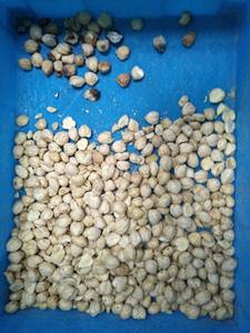 1 scivoli RGB riso/chicchi di caffè/Granis/lenticchie/semi di colore selezionatore ottico macchina di smistamento con telecamera CCD - Product Image 4