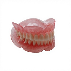 義歯 歯科用クラウン 透明な一時的な取り外し可能な歯の模型 歯科展示サンプル 解剖学的模型 45645645 - Product Image 1