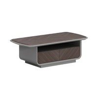 Table basse moderne de couleur noire sur mesure pour le salon, facile à installer, design minimaliste moderne