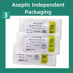 Set di Suture Veterinarie Assorbibili per Animali Domestici (Pecore, Gatti, Cani, Maiali) 100cm Beige in Materiale Proteico - Product Image 4